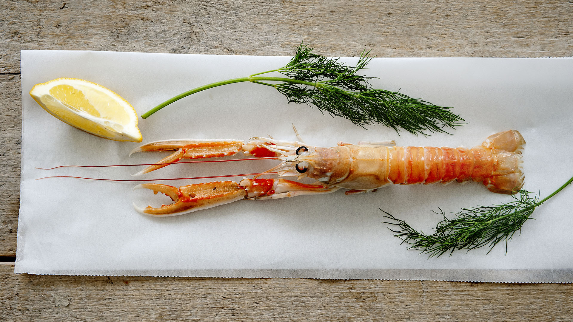 Langoustine, vis van de maand mei