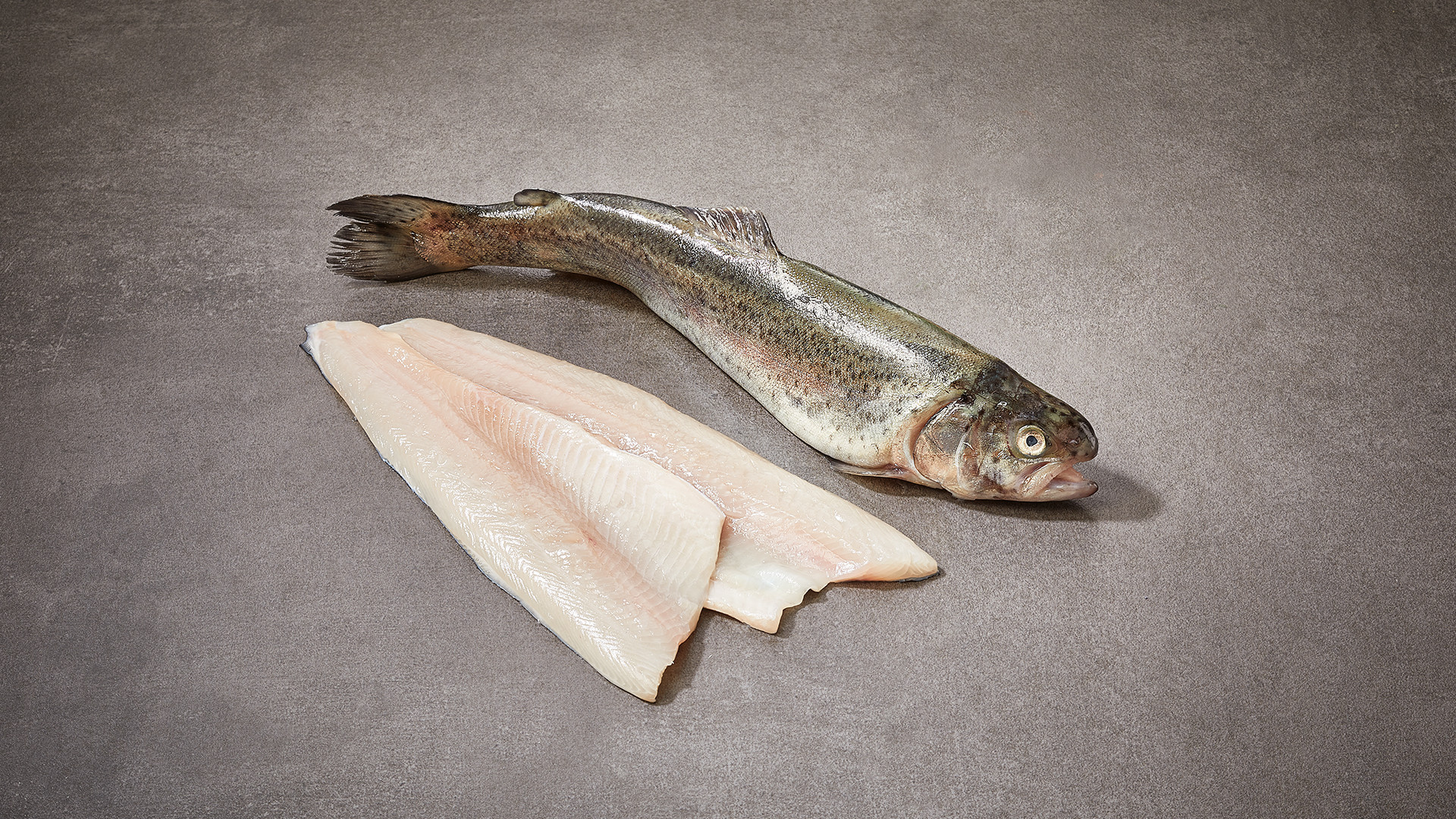 Haring, vis van de maand juni